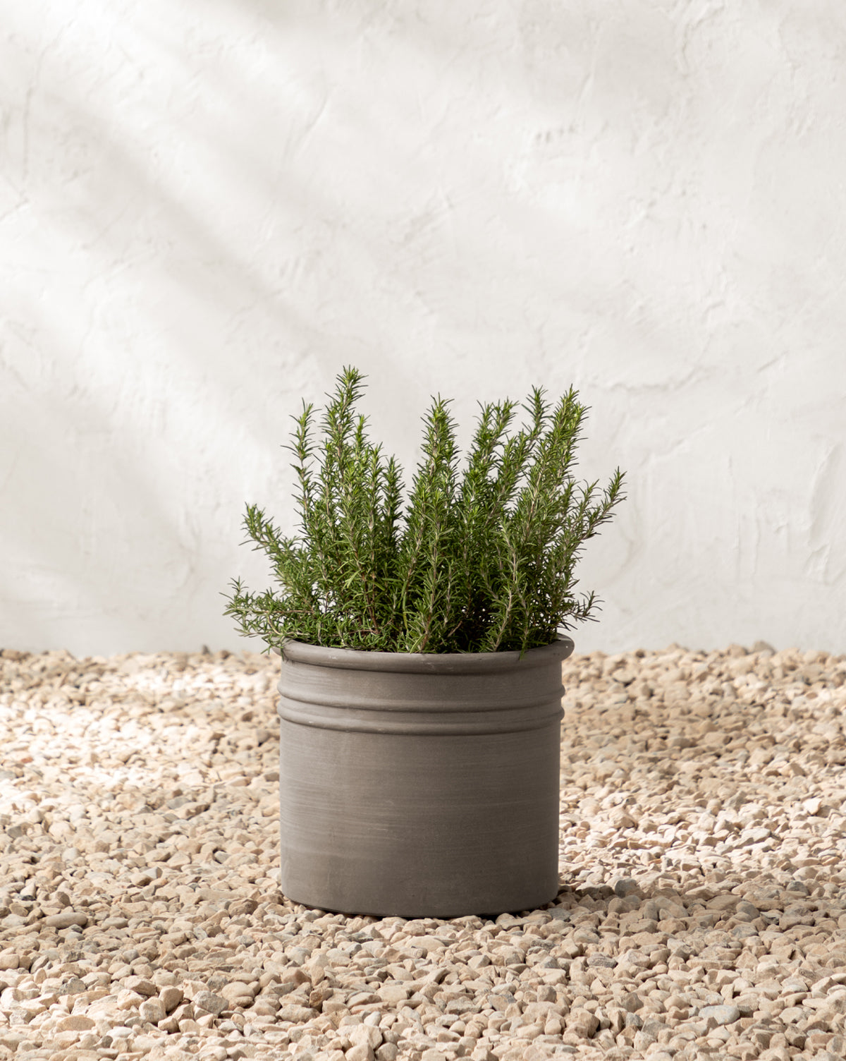 Bolton Ceramic Planter