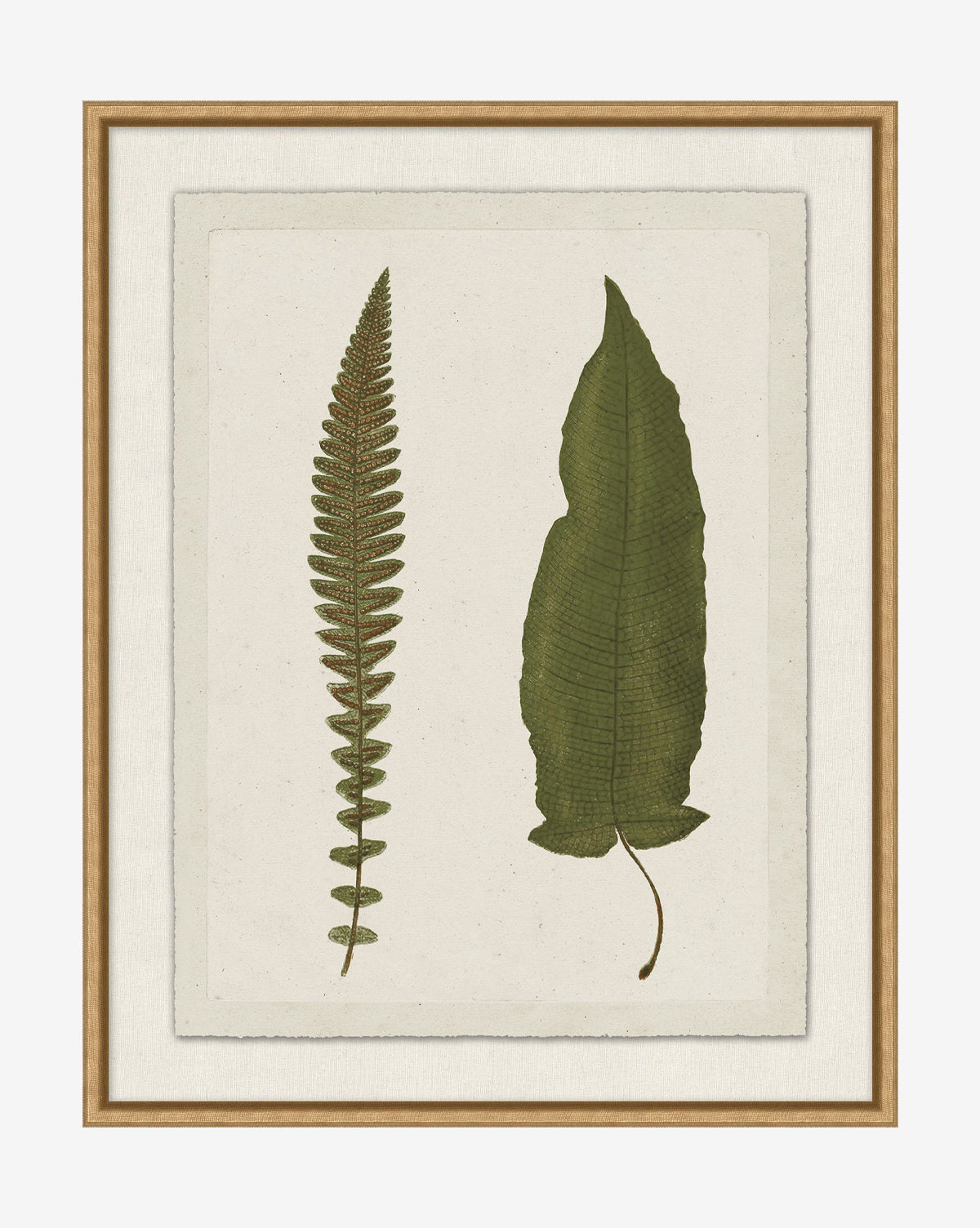 Botanical Pressings VII