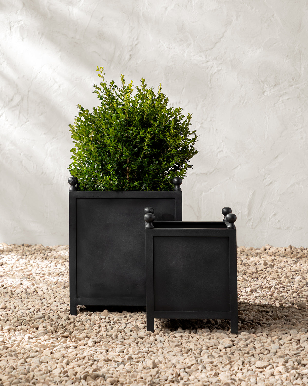 Clariance Planter