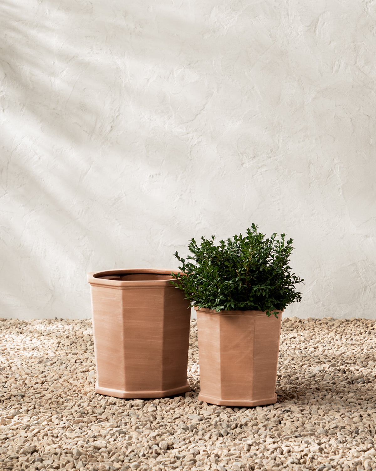 Dempsey Terracotta Pot