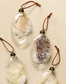 Dried Florals in Glass (Set of 4)