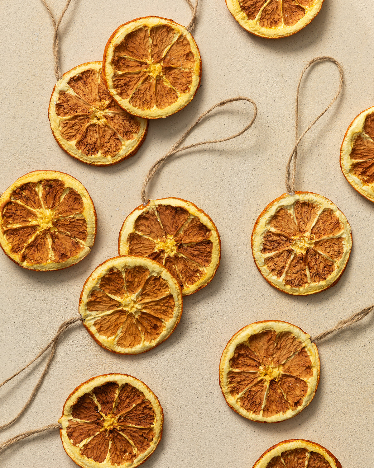 Dried & Boxed Orange Slices (Set of 12)