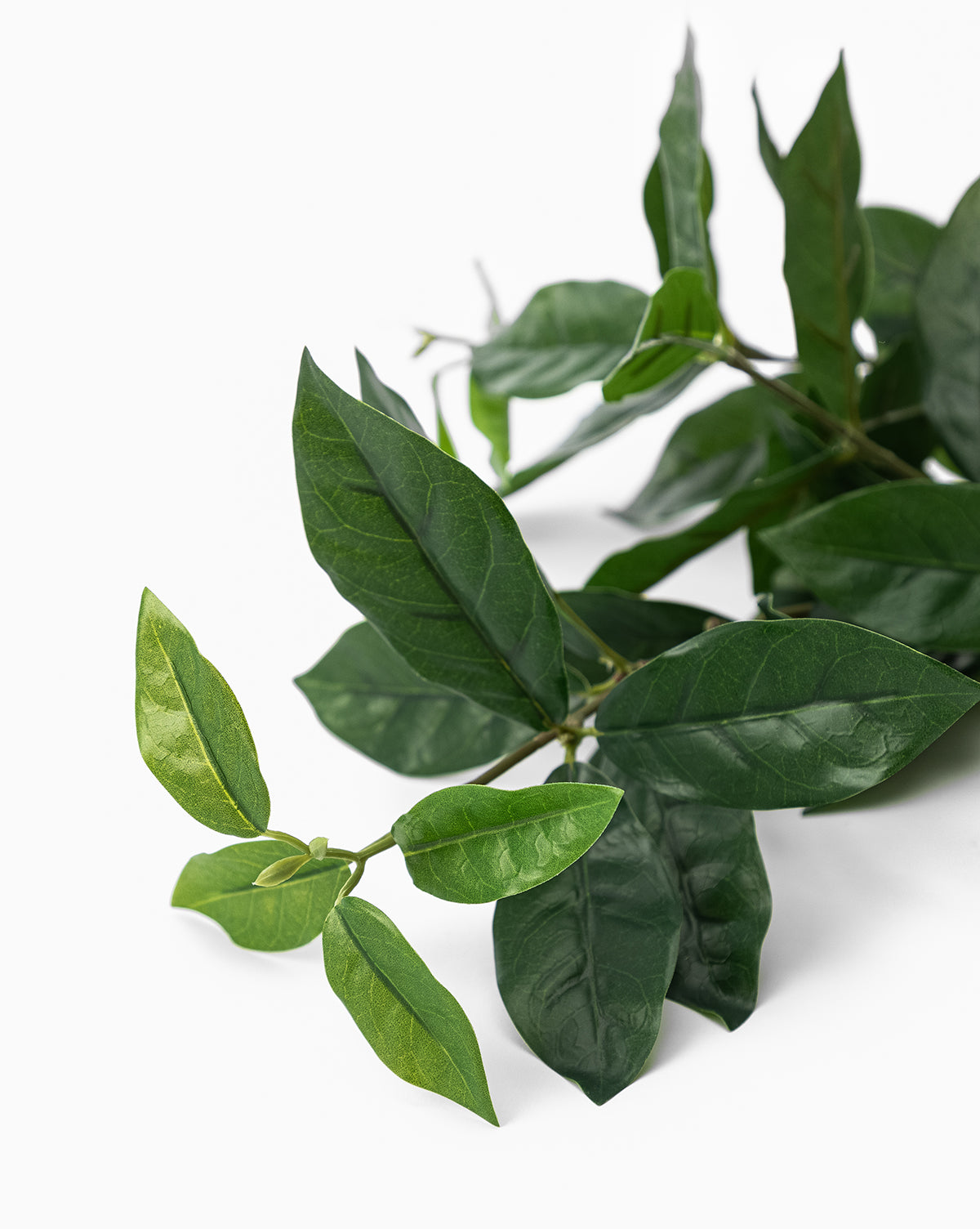 Faux Laurel Leaf Branch