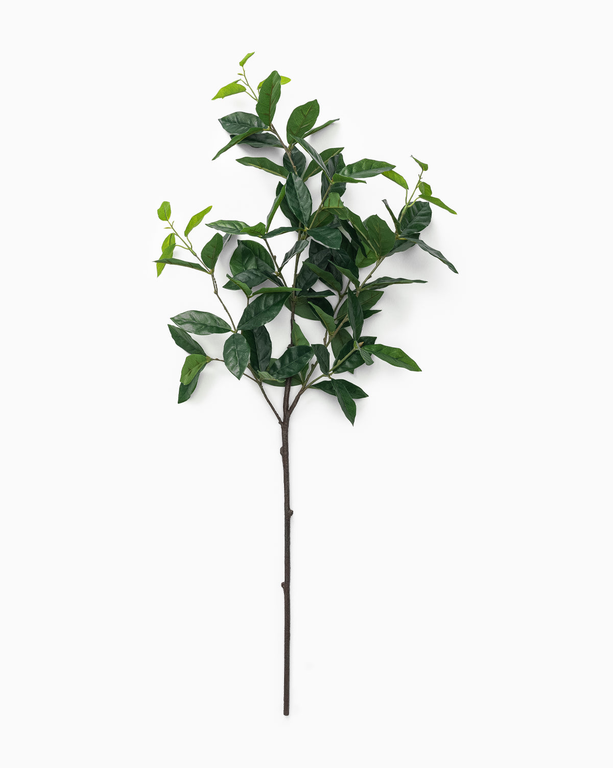 Faux Laurel Leaf Branch