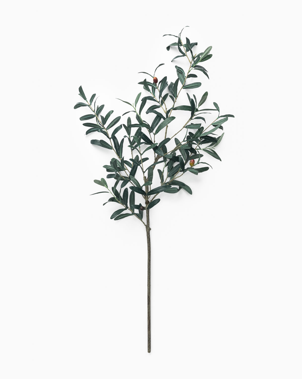 Faux Olive Branch