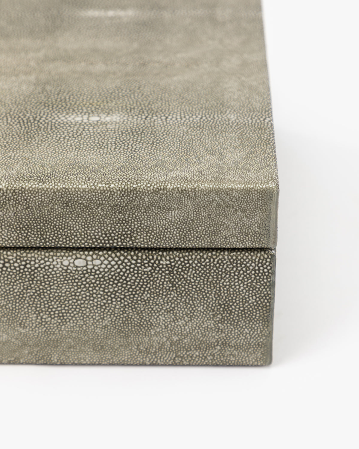 Gregory Shagreen Leather Box