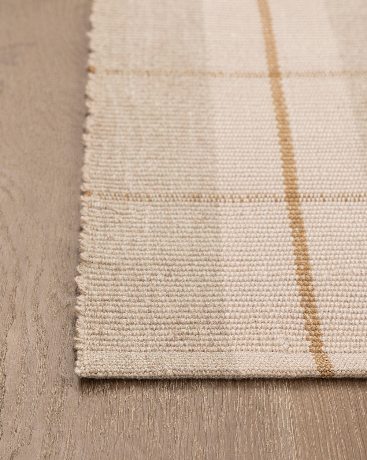 Hanlon Indoor/Outdoor Rug