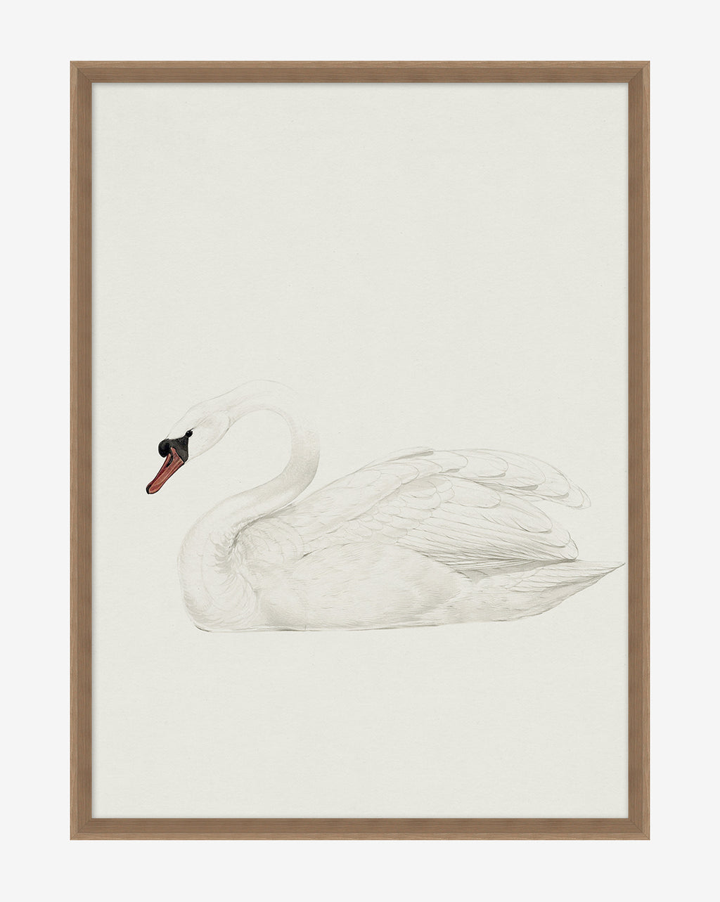 Neutral Swan – McGee & Co.