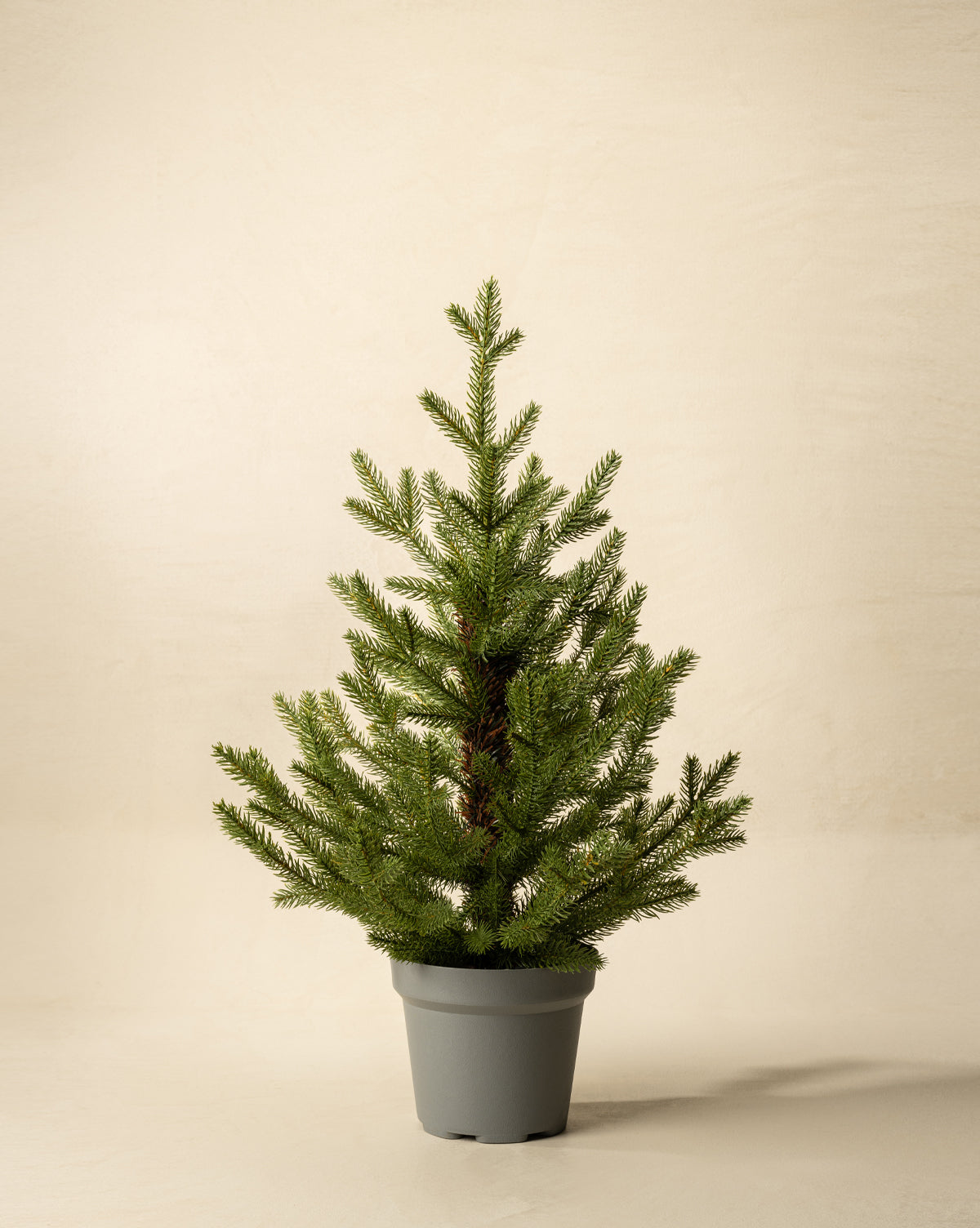 Norway Spruce Mini Faux Tree