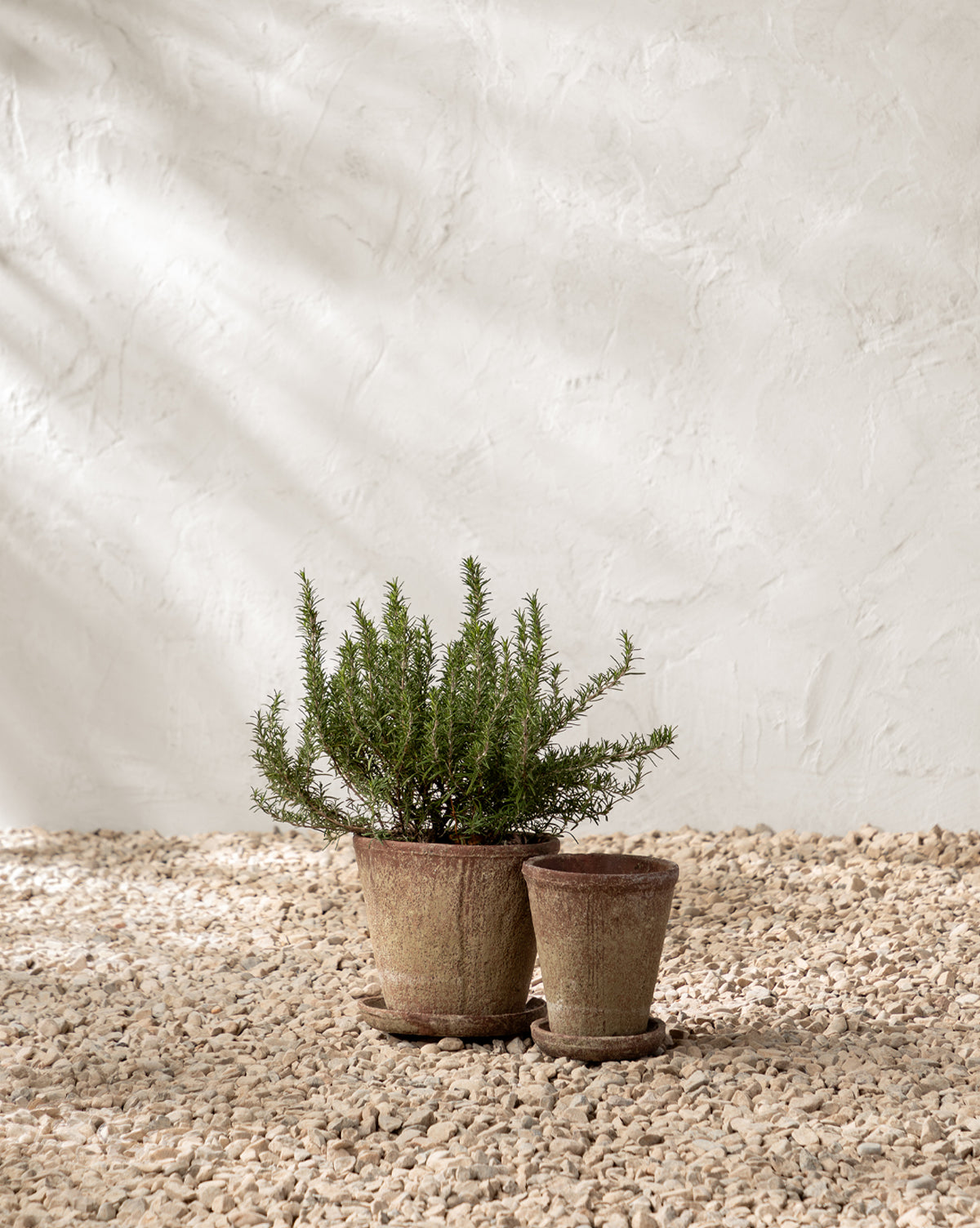 Oksana Distressed Cement Planter