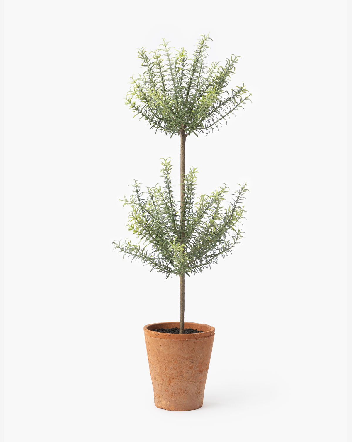 Potted Faux Rosemary Topiary