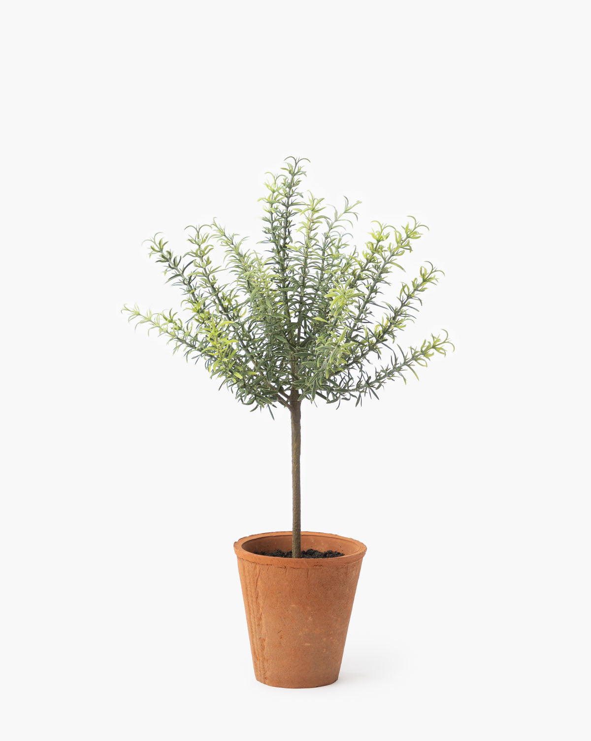 faux rosemary plant, faux rosemary, small faux potted plants, faux topiary, spring home decor 