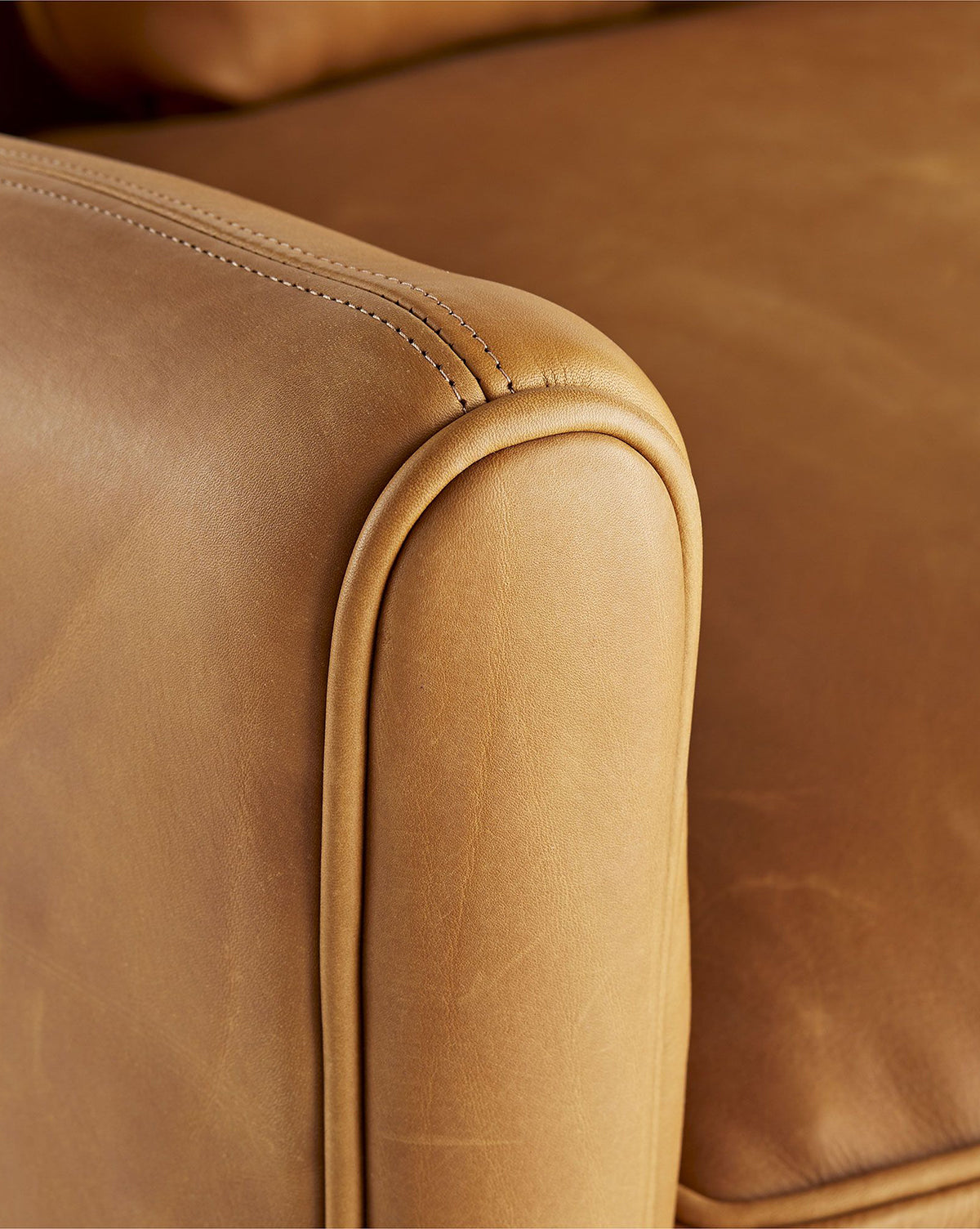 Warner Leather Sofa