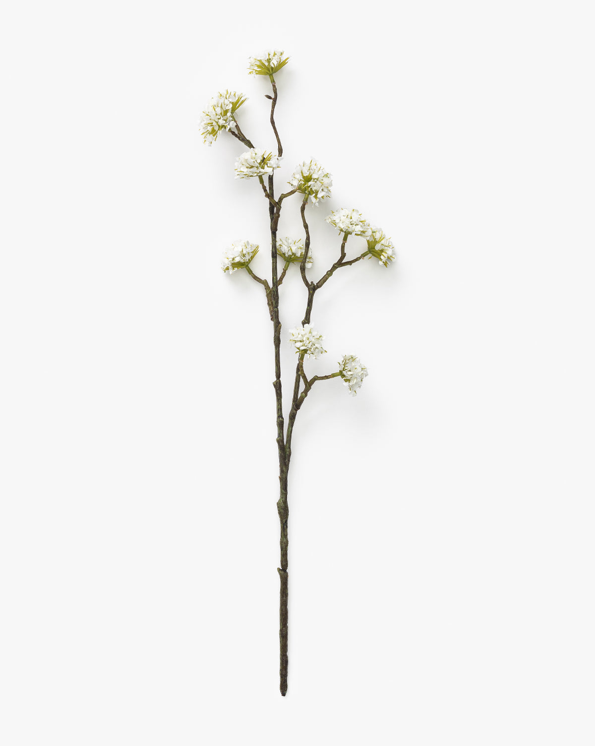 White Blossom Stem