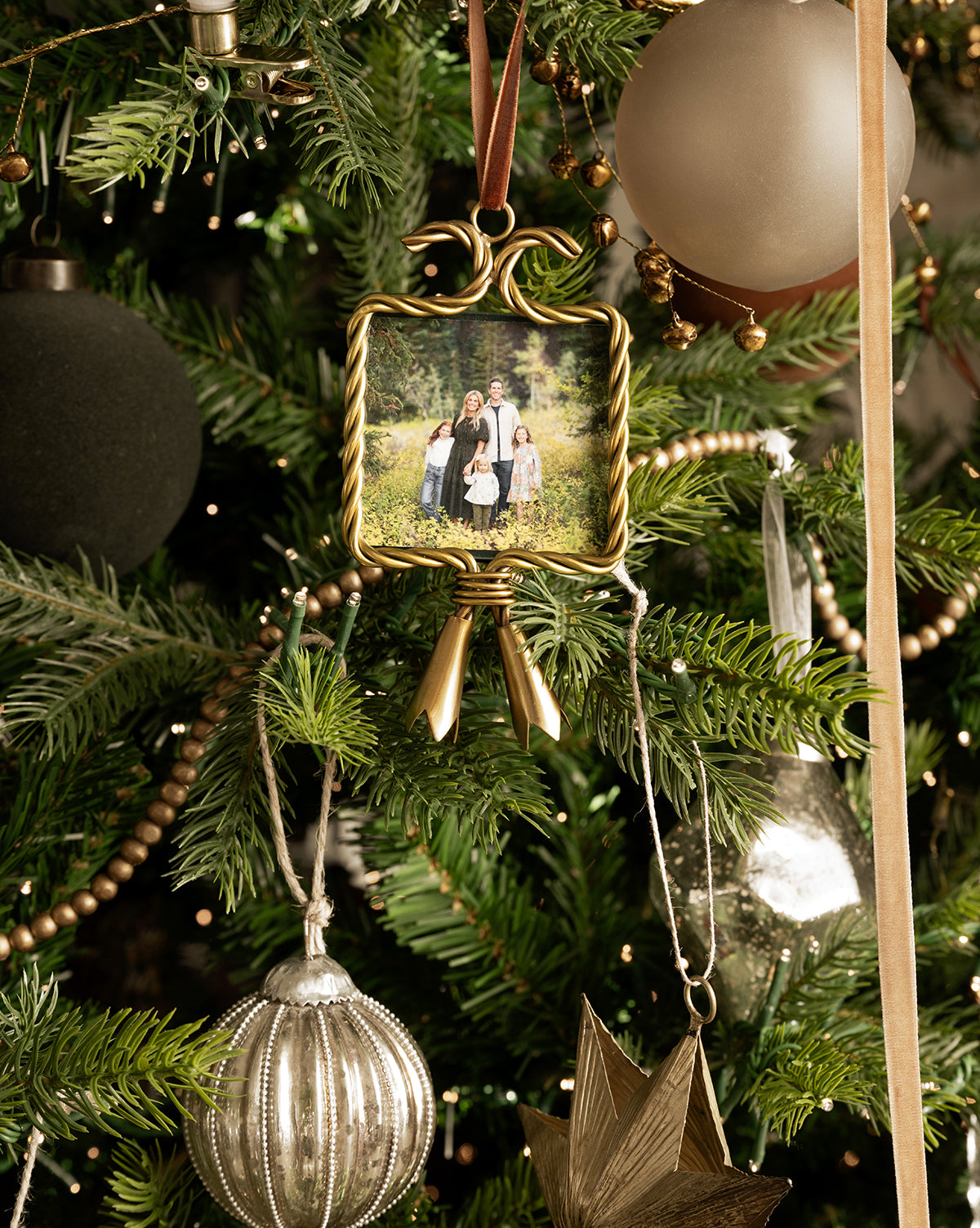 Tassel Picture Frame Ornament