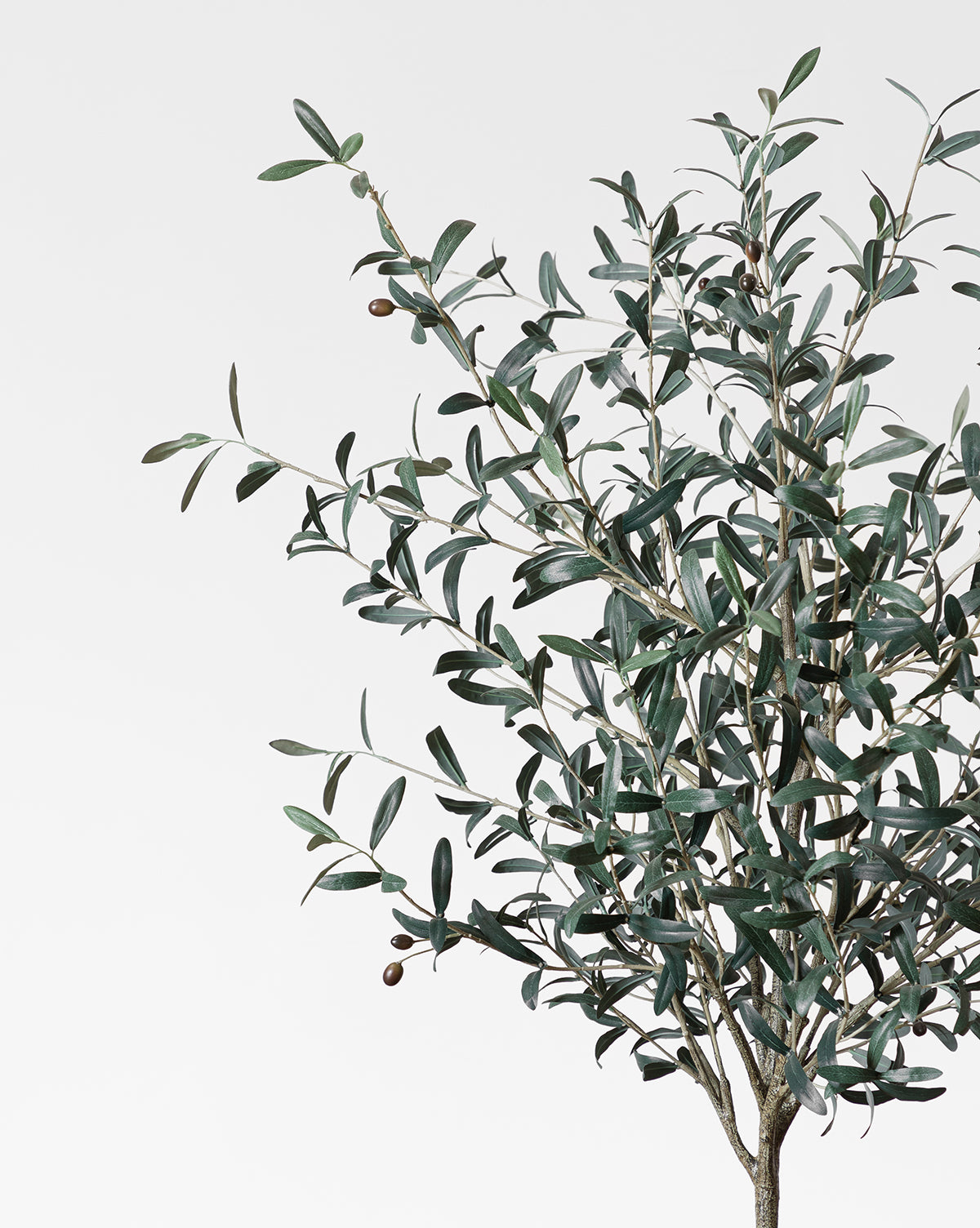 Faux 72" Olive Tree with Ceramic Pot