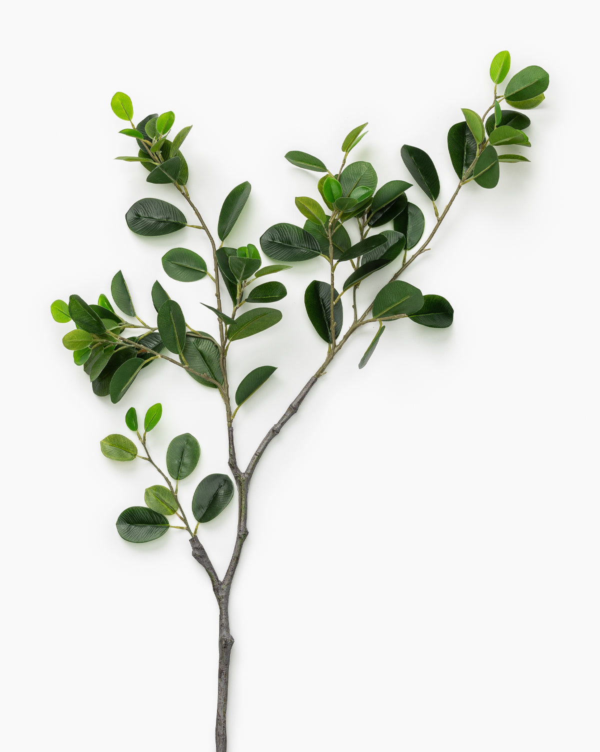 Faux Italian Ficus Branch