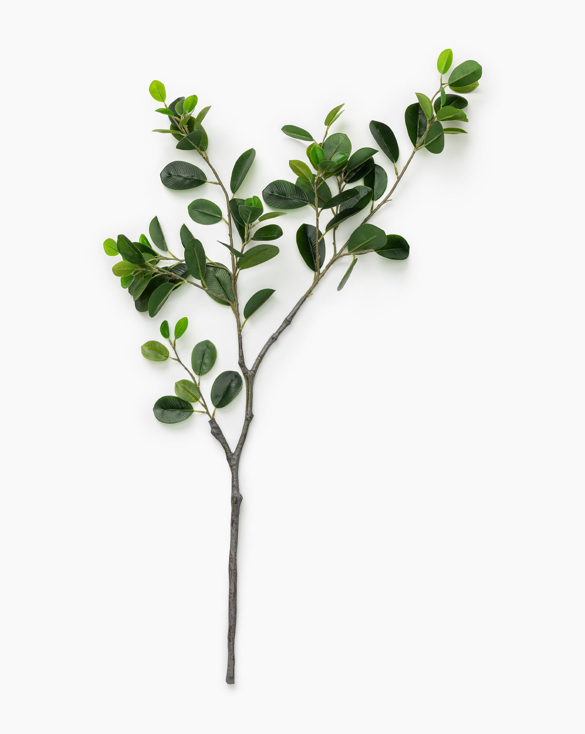 Faux Italian Ficus Branch