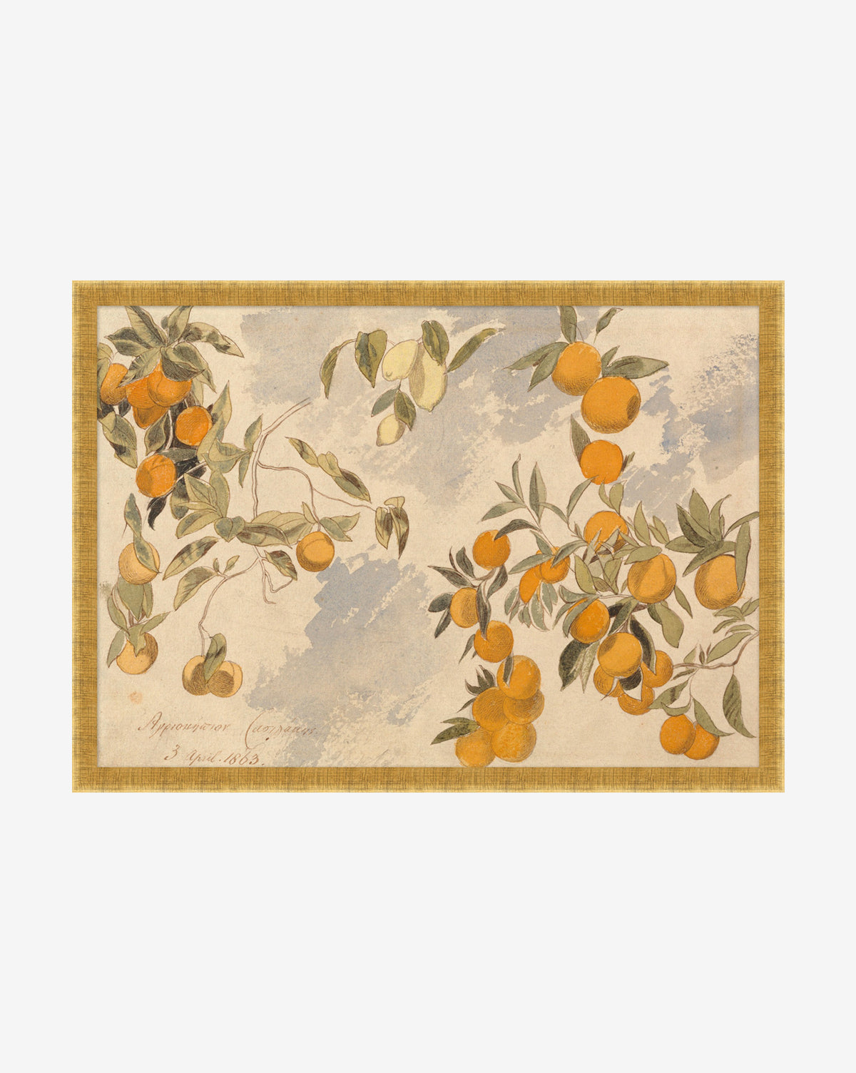 Studio McGee orange harvest fruit cheapest with gold frame art