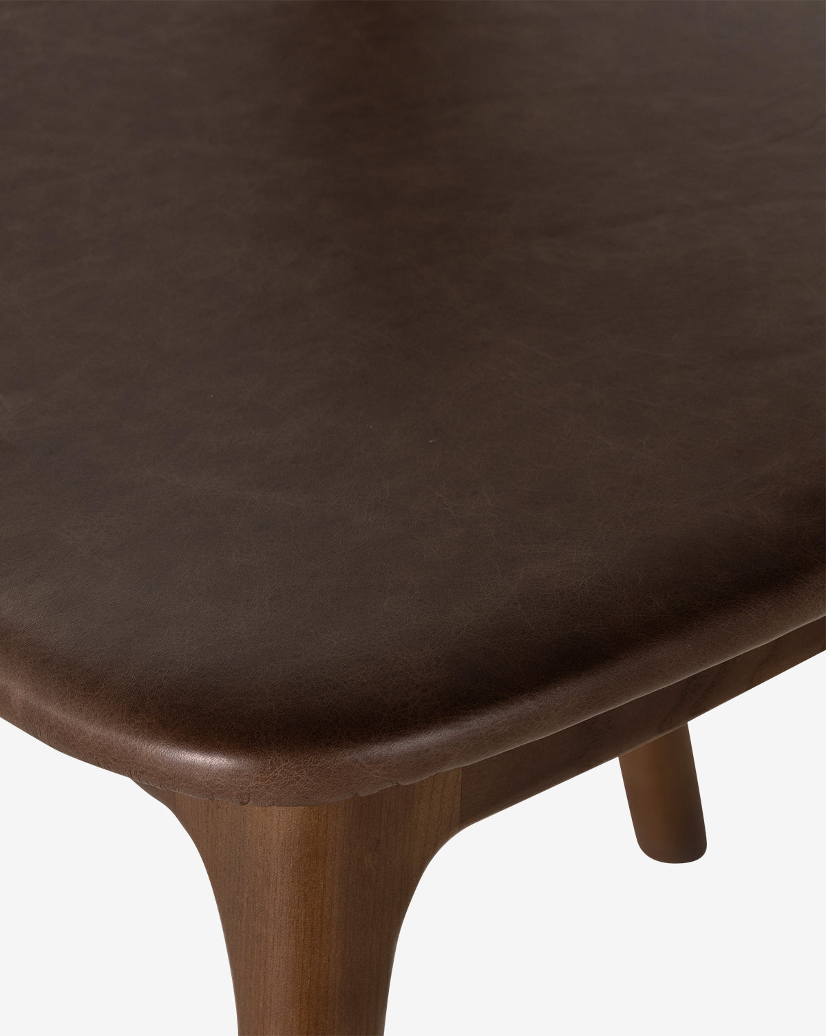 Lucinda Dining Chair