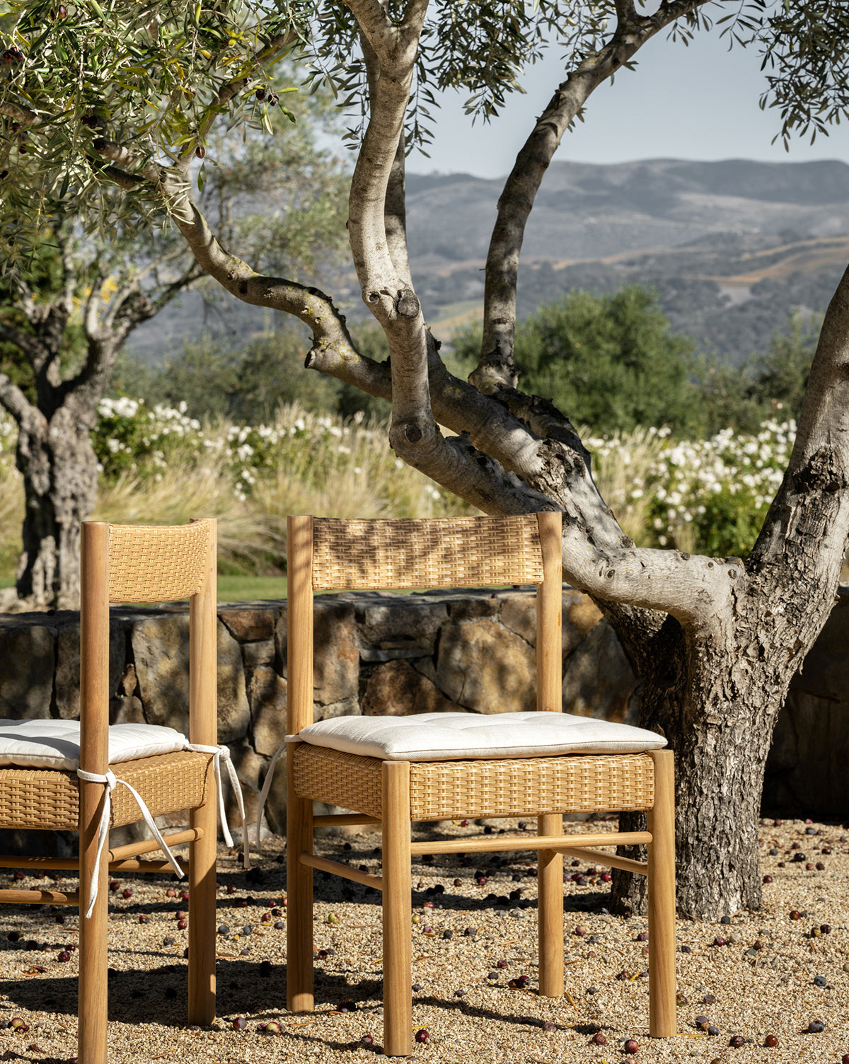 Simeon Outdoor Dining Chair