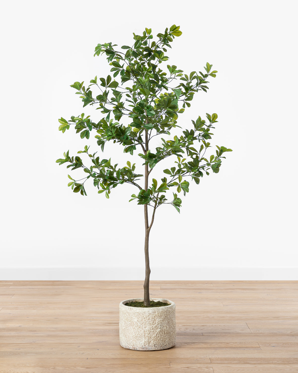 Large Faux Tree for Indoor Decor - McGee & Co.