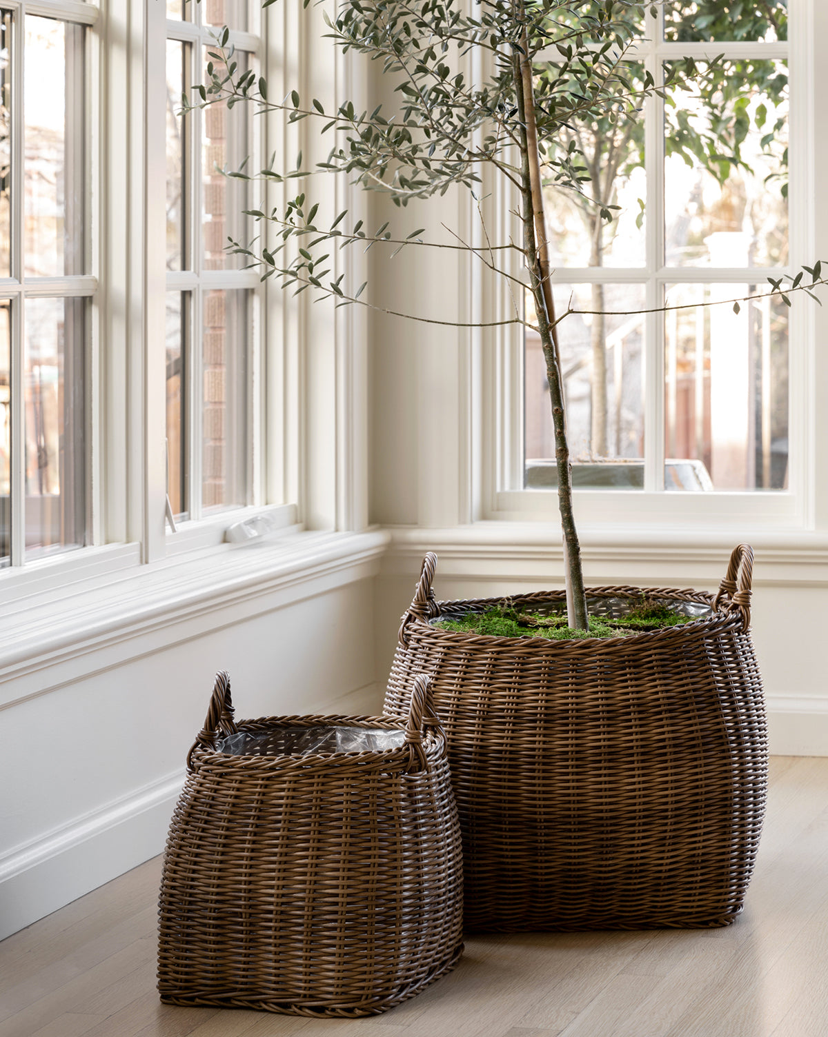 Handled Planter Basket