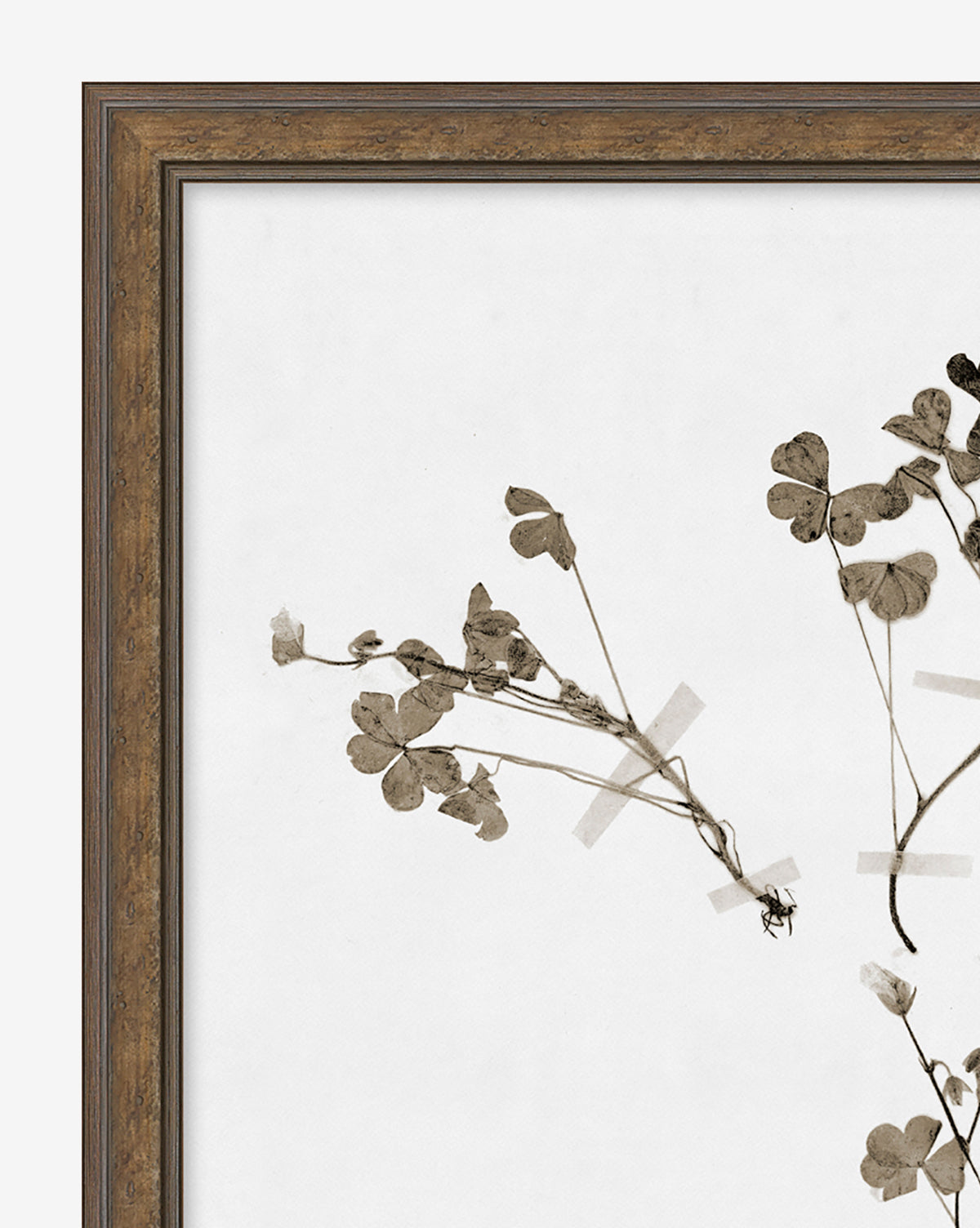 Subdued Botanicals I