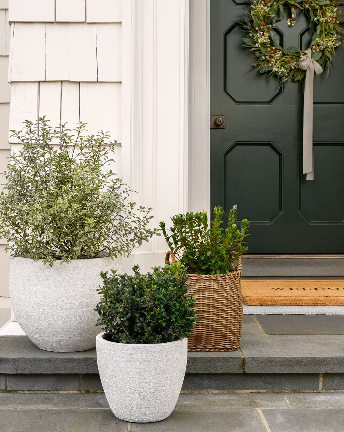 Handled Planter Basket